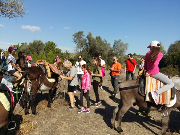 atelier de langue française Stergiadis Tsampikos
